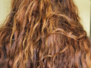 coloured/ damaged hair 